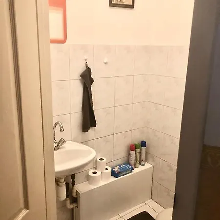 Large With Garage And Terrace * Budapest